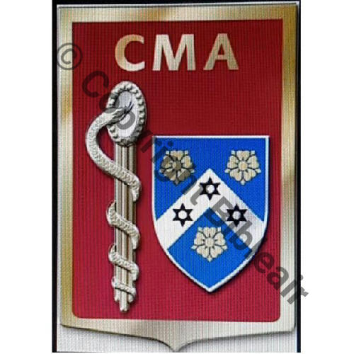 CMA.01 CREIL Src.insignes.bougeret 